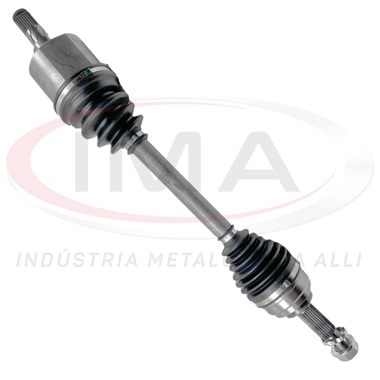 Semieje completo - Lado izquierdo