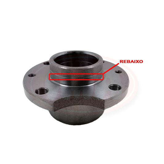 Cubo de Roda Traseiro com Rolamento