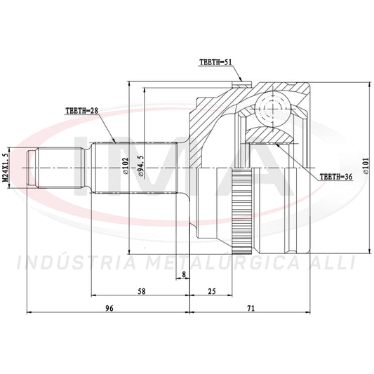 Constant Velocity Joint