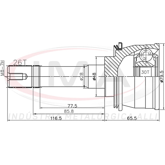 Constant Velocity Joint