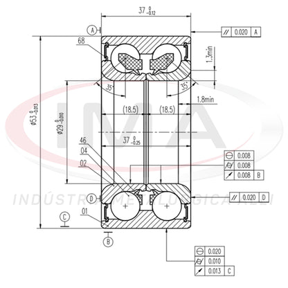 Double Rear Wheel Bearing
