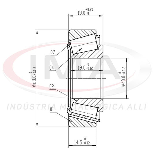 Front and Rear Wheel Bearing Cap/Cone