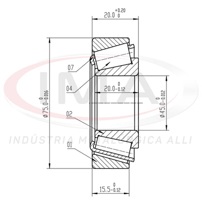 Front and Rear Wheel Bearing Cap/Cone