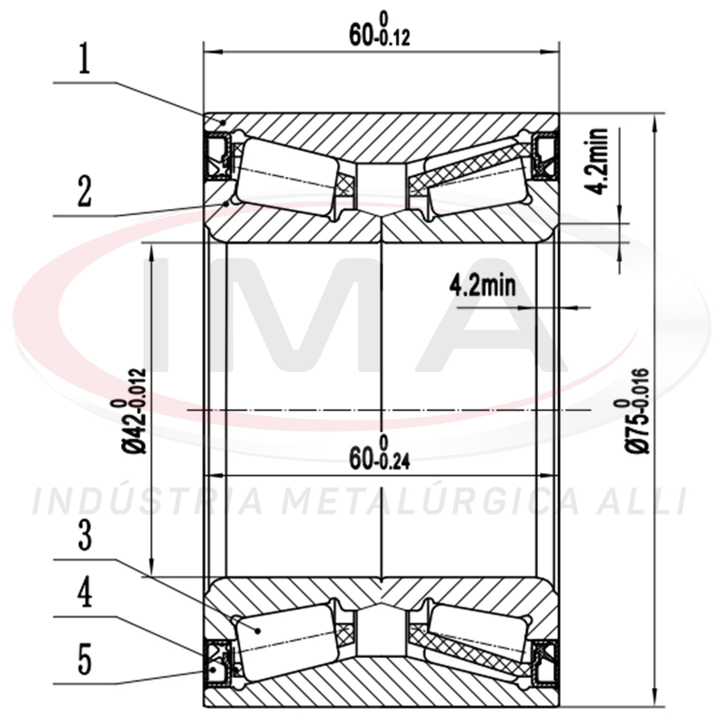 Double Roller Rear Wheel Bearing
