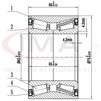 Double Roller Rear Wheel Bearing