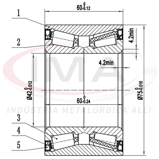 Double Roller Rear Wheel Bearing