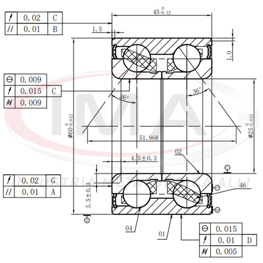 Double Rear Wheel Bearing