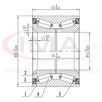Double Roller Rear Wheel Bearing