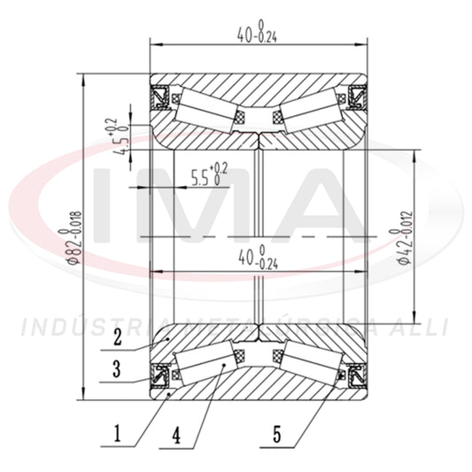 Double Roller Rear Wheel Bearing