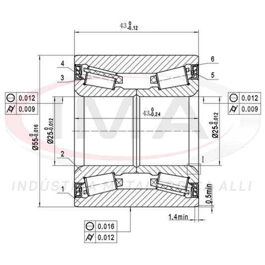 Double Roller Rear Wheel Bearing